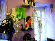 Оформление салона красоты "Green Light"